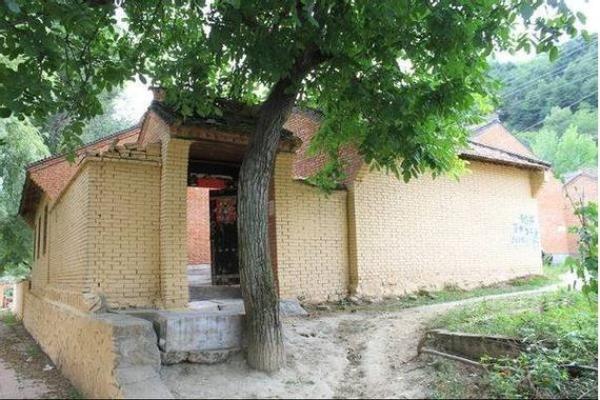 算命树的说法 算命树的说法