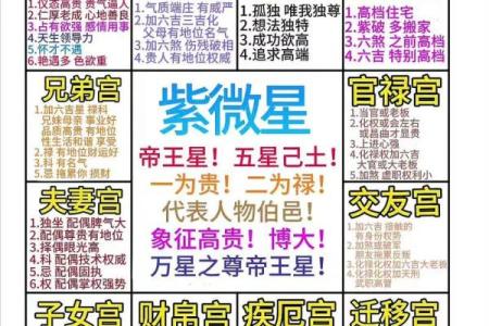 紫薇斗数盘每排文字代表什么