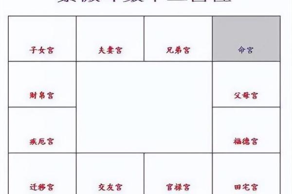 破紫薇斗数排盘