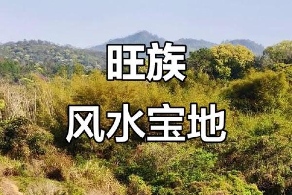 墓地风水改良 墓地风水改良