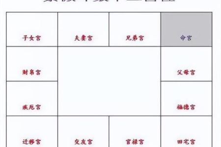 破紫薇斗数排盘