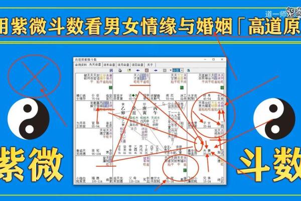 紫薇星必须要与正缘结婚吗 紫薇星必须要与正缘结婚吗