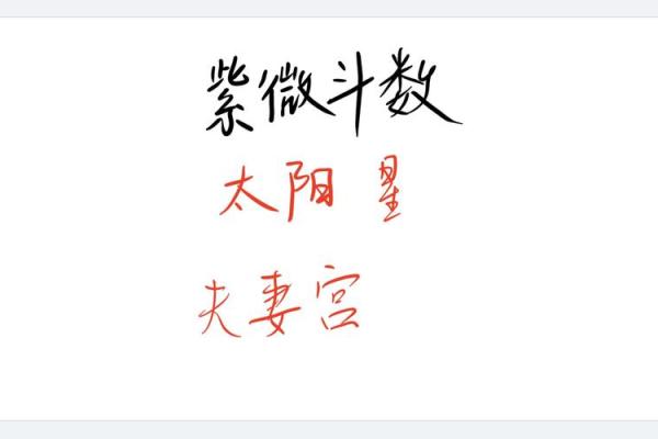 紫微斗数之疾厄宫与诸星，太阳星在疾病宫是什么意思？