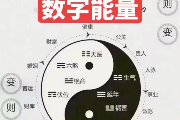 都市神算风水 都市神算风水