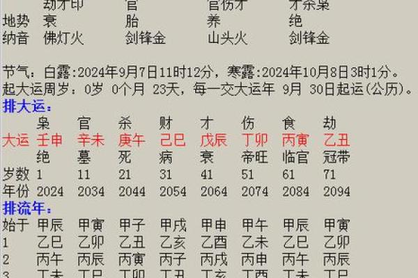 2024年12月14日出生的男宝宝八字命理 善言健谈欠缺沉着 2024年12月14日出生的男宝宝八字命理 善言健谈欠缺沉着