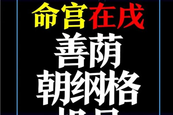 紫薇斗数一本小说