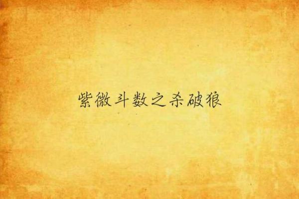 紫薇斗数一本小说