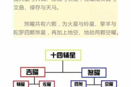 紫微斗数之人事十二宫的其他表意