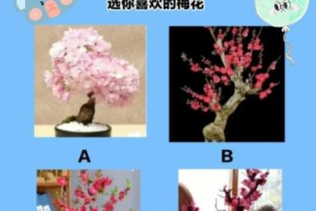 测试自己最近运气  测试你最近运气好吗