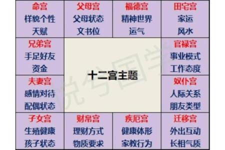 紫薇斗数父母宫情敌