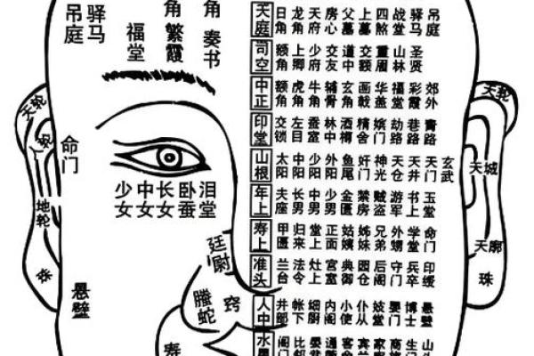 如何看坟地风水 如何看坟地风水