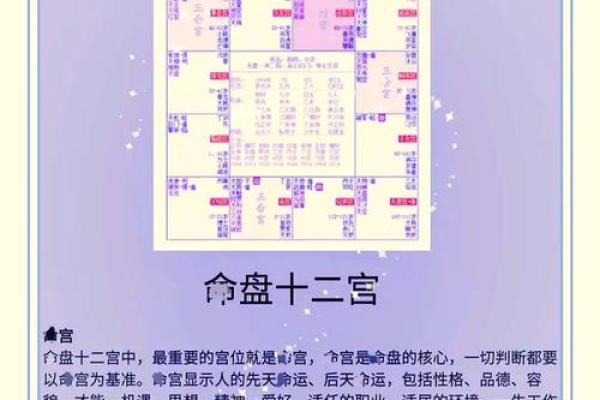 紫薇星数十二宫怎么排 紫薇星数十二宫怎么排