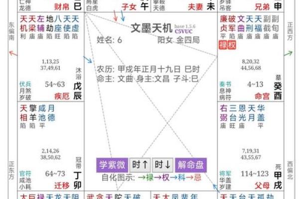 紫薇命盘在线排盘,七杀坐命申宫有什么影响? 紫薇命盘在线排盘,七杀坐命申宫有什么影响?