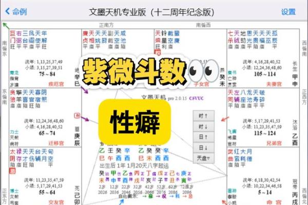 紫薇斗数看子时 紫薇斗数看子时