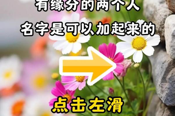 名字测试有没有缘分在一起 用名字测有没有缘免费？