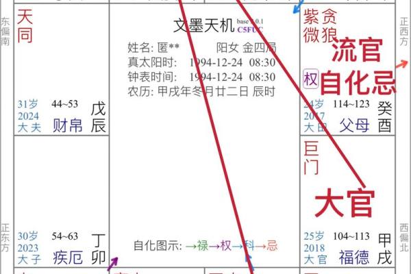 紫薇斗数看财运格局