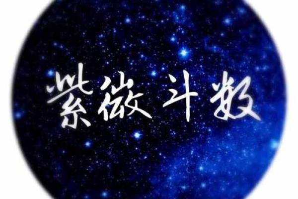 紫薇斗数文机 紫薇斗数文机