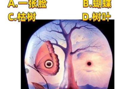 心理测试-你第一眼看到什么，测测你往后的路好不好走