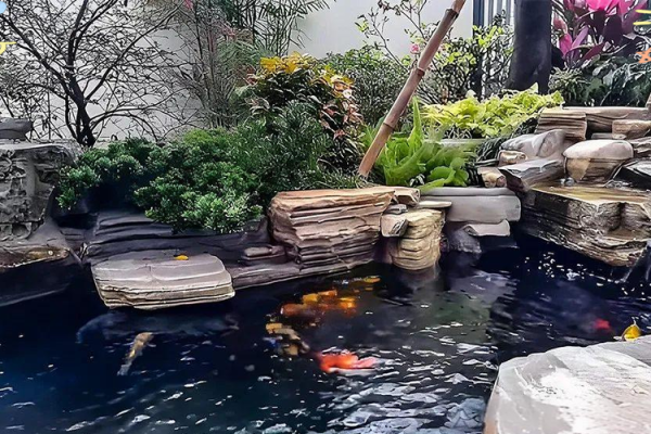 家庭鱼池风水 家庭鱼池风水摆放