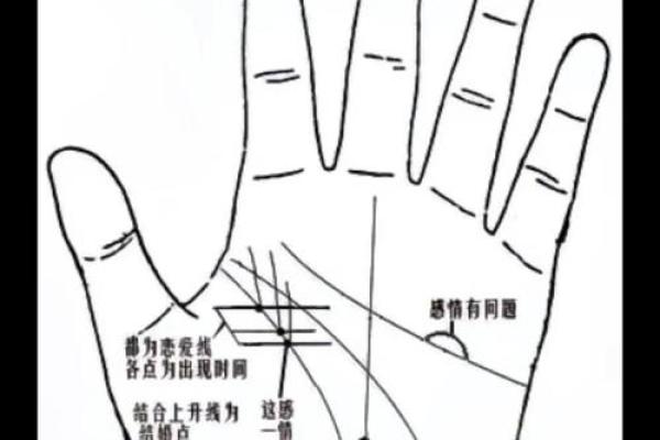 手相算命，从手相看你聪明度有多高？