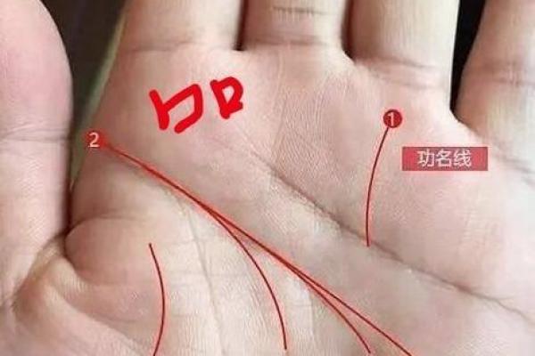 男人看手相算命财运怎么看 男人手中钱财纹多最有钱 男人看手相算命财运怎么看 男人手中钱财纹多最有钱