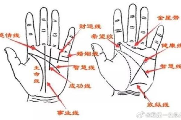 男人看手相算命财运怎么看 男人手中钱财纹多最有钱 男人看手相算命财运怎么看 男人手中钱财纹多最有钱