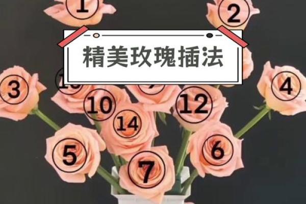 玫瑰插花风水 玫瑰插花风水