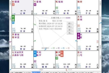 紫薇斗数中日元是什么