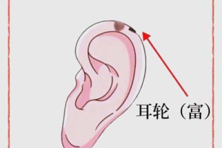 耳朵算命耳朵看运势大全,耳朵命运图解