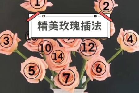玫瑰插花风水