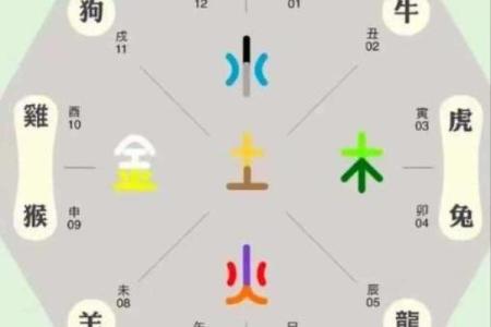 八字身弱格局啥意思