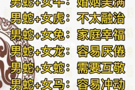 属相婚配算命真相