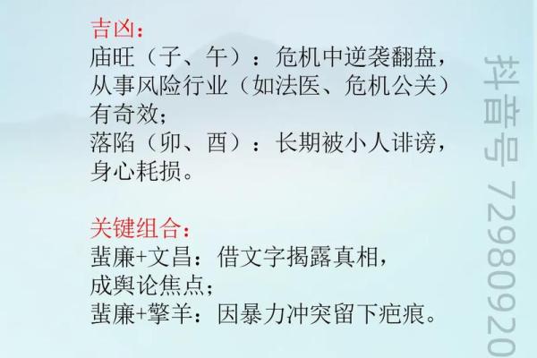 紫微斗数诸星落诸宫之：破军星奴仆宫详解