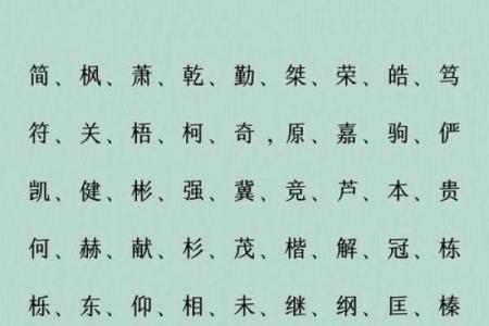 【八字缺木男孩】小名起名攻略，必知五大注意事项