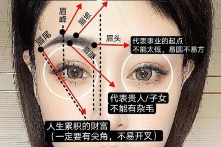 倒八字眉的女人面相好不好