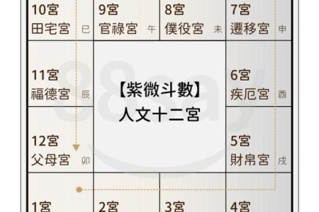 命理学紫薇斗数