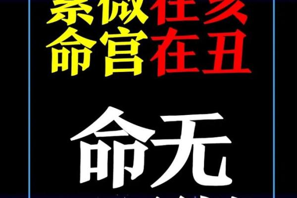 紫微斗数案例25健康：抑郁的命盘啥样？你在什么时间渡劫？
