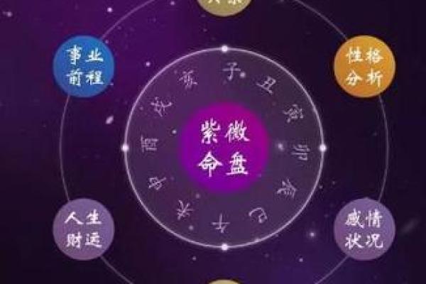 紫微斗数姻缘星 紫薇星盘姻缘？
