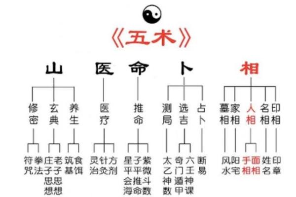 八卦算命原理,八卦推算命运和解析 八卦算命原理,八卦推算命运和解析