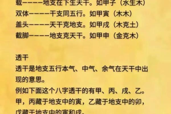 八字四柱规则定律表图 八字四柱规则定律表图