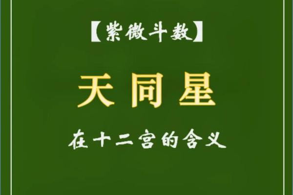 林徽因紫薇斗数