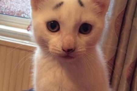 女人长八字眉好吗什么样的八字眉好