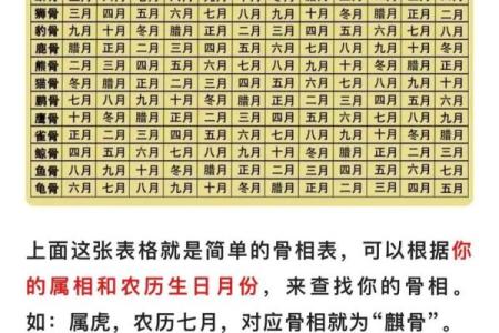 骨相好的特征 骨相算命的特点分析