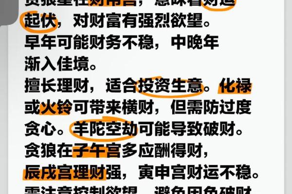 紫薇斗数贪狼火星