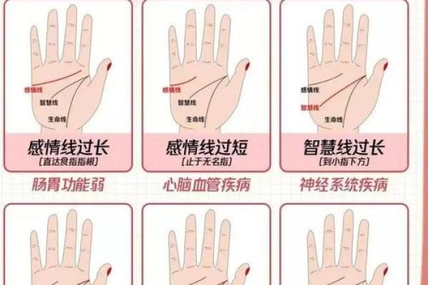 图解：手相中的智慧线算命