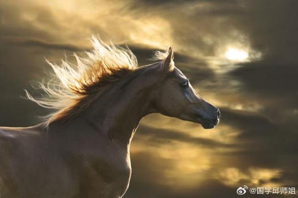 紫薇斗数驿马星