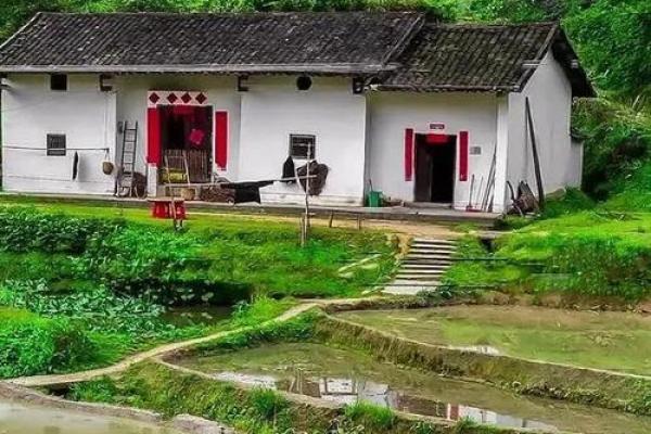 老房子里种什么好看风水