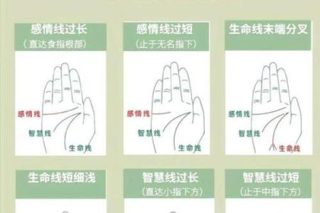 看手相算命图解
