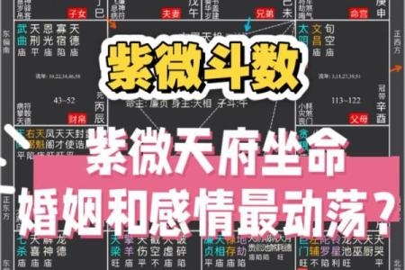 紫薇斗数算婚姻准吗