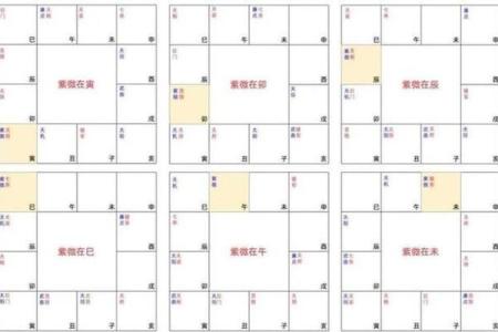 紫薇斗数命宫巨门